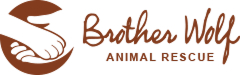 Brother Wolf logo