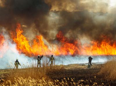 Firefighters battling raging wildfire in field